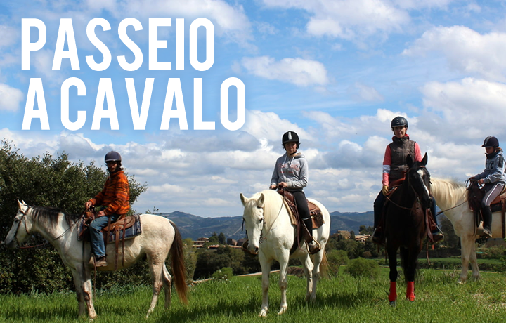 Cavalo